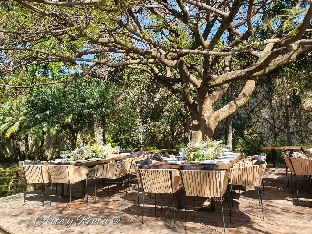 Montaje de mesas de madera y sillas para evento al aire libre bajo un gran árbol